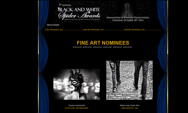 BlackWhiteSpiderFineArtWeb