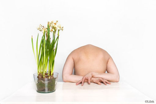 Series Faded Glory: Narcis, 2015